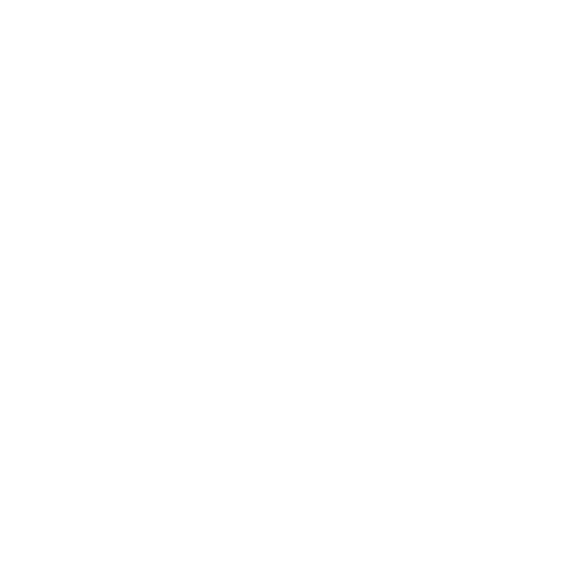 euro